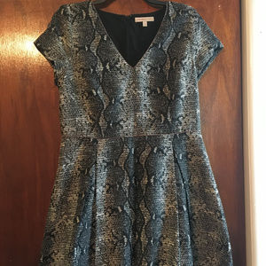 Banana Republic Heritage Snakeskin Design